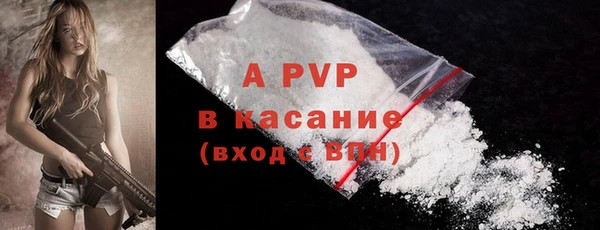 сатива Богданович