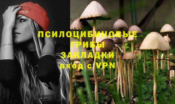 COCAINE Богородицк