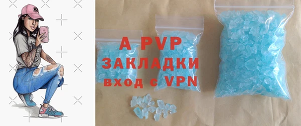сатива Богданович