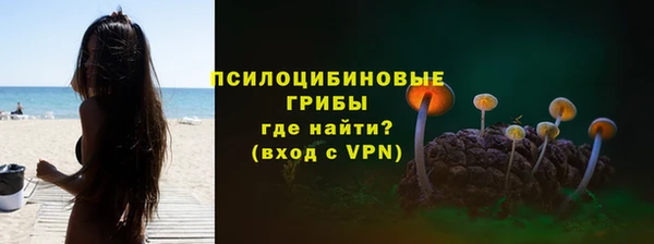 сатива Богданович