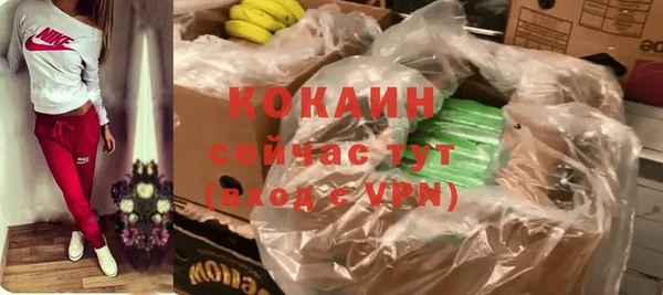 COCAINE Богородицк