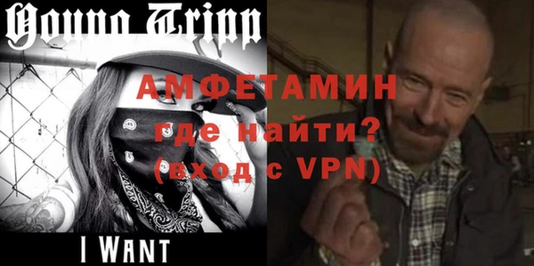 сатива Богданович