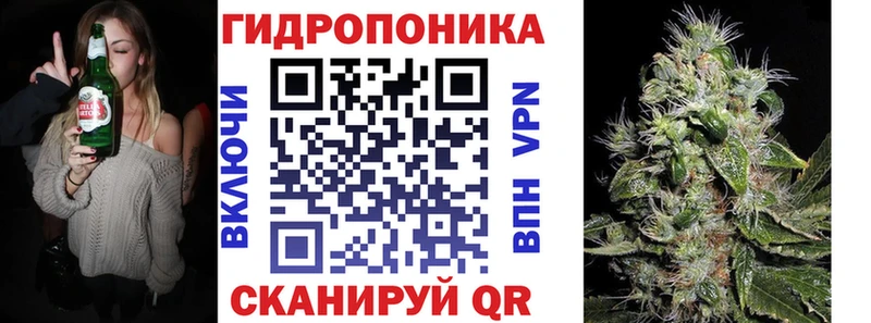 Бошки марихуана семена  Сургут 